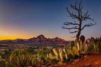 ARIZONA